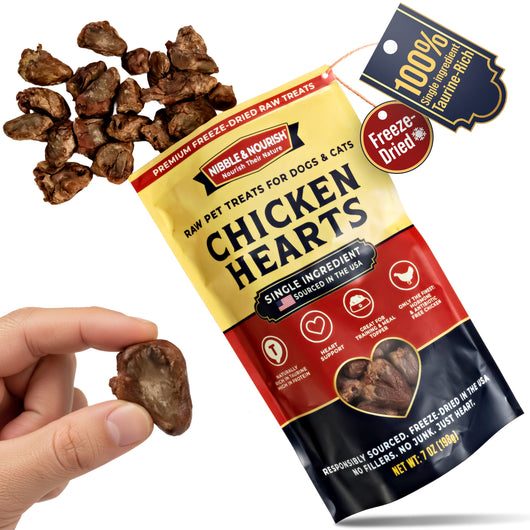 Hand holding a freeze-dried chicken heart treat next to a tilted Nibble & Nourish Chicken Hearts 7 oz pouch with treats spilling out, showing the actual product size and texture
