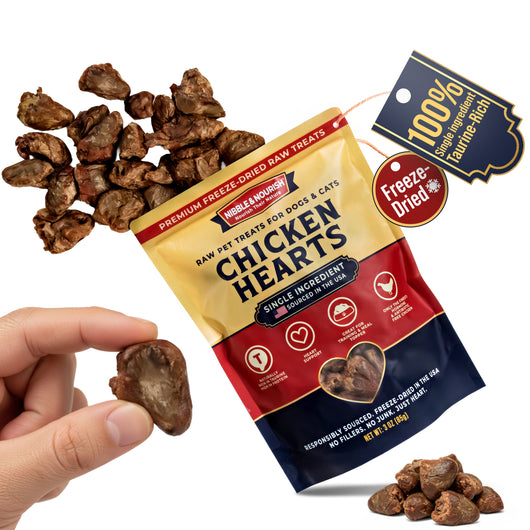 Hand holding a freeze-dried chicken heart treat next to a tilted Nibble & Nourish Chicken Hearts 3 oz pouch with treats spilling out, showing the actual product size and texture