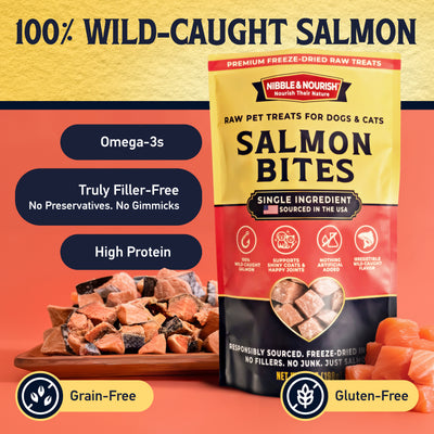 Nibble & Nourish Salmon Bites 7 oz pouch beside a wooden plate of freeze-dried salmon cubes, with feature callouts highlighting omega-3s, no fillers or preservatives, high protein, grain-free, and gluten-free