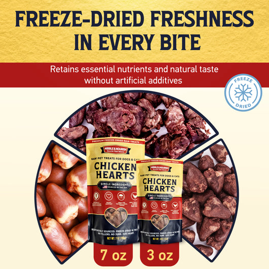 Comparison of raw, dehydrated, and freeze-dried chicken hearts shown alongside Nibble & Nourish 7 oz and 3 oz pouches, illustrating the freeze-drying process that retains nutrients and natural taste
