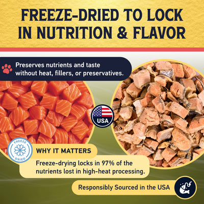 Side-by-side comparison of raw salmon cubes and freeze-dried salmon pieces with a USA badge, illustrating how freeze-drying preserves nutrients and flavor without heat, fillers, or preservatives