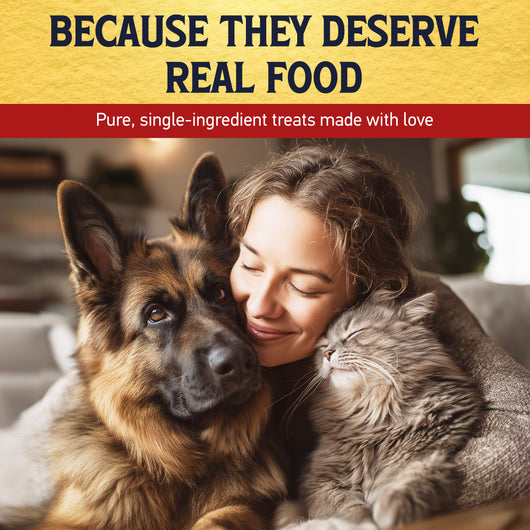 Young woman cuddling cheek-to-cheek with a German Shepherd and a fluffy grey tabby cat, illustrating the bond Nibble & Nourish single-ingredient treats are made for
