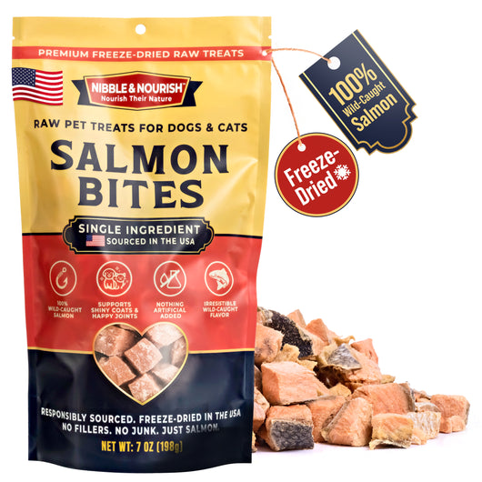 Nibble & Nourish Salmon Bites pouch on white background