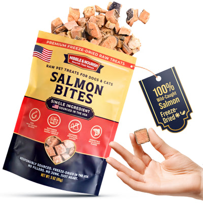 Open hand holding a freeze-dried salmon cube next to a Nibble & Nourish Salmon Bites 3 oz pouch with salmon cubes spilling out, showing the actual product size and texture

Next.